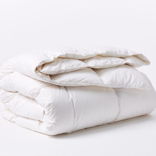 Winter Weight Down Duvet Insert | White