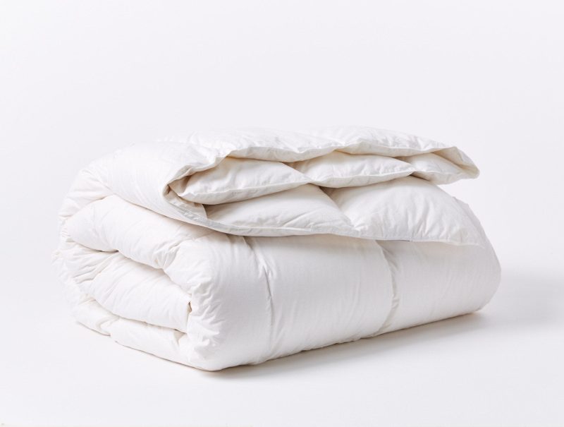 Winter Weight Down Duvet Insert | White